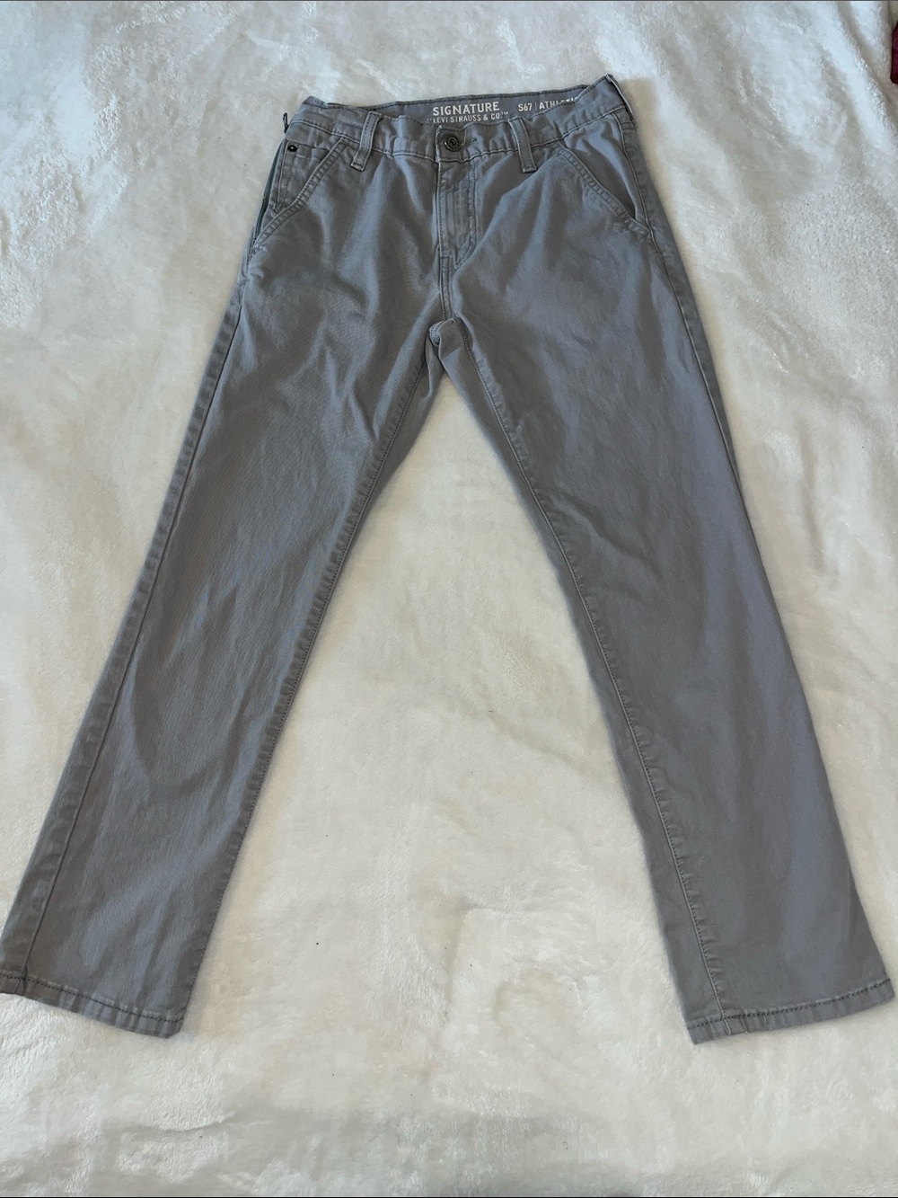 Levi Signature Men's Straight-Leg pants in Light Gray